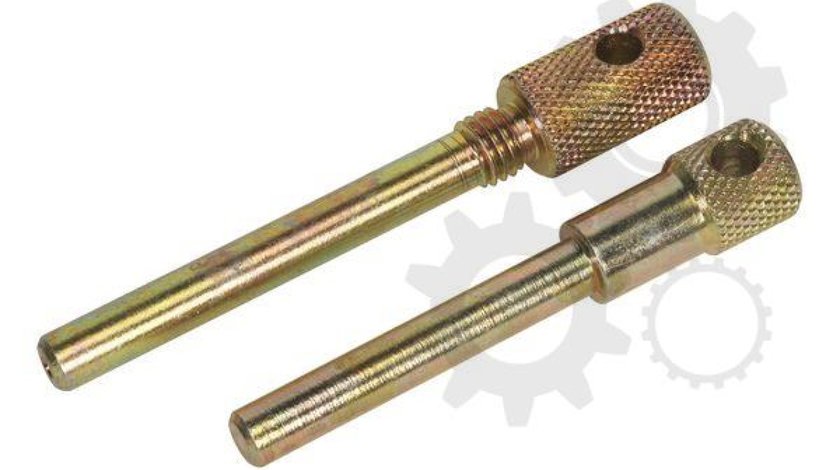 Dispozitiv de montare curea distributie RENAULT MEGANE II BM0/1 CM0/1 Producator NARZÊDZIA SPECJALNE VSE1901