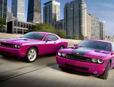 Dodge Challenger 40th Anniversary Furious Fuschia