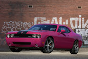 Dodge Challenger 40th Anniversary Furious Fuschia