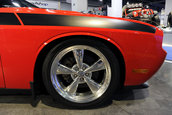 Dodge Challenger Mopar Edition