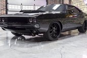 Dodge Challenger Super Cat