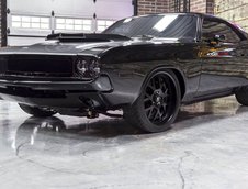 Dodge Challenger Super Cat