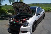 Dodge Neon SRT-4 by Charlie Lewis