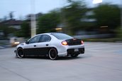 Dodge Neon SRT-4 by Charlie Lewis