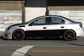 Dodge Neon SRT-4 by Charlie Lewis