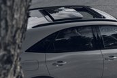 DS 7 Esprit de Voyage