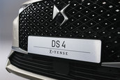 DS4 - Galerie Foto