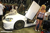 DUB SHOW LOS ANGELES 2008