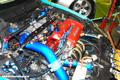 DUB SHOW LOS ANGELES 2008