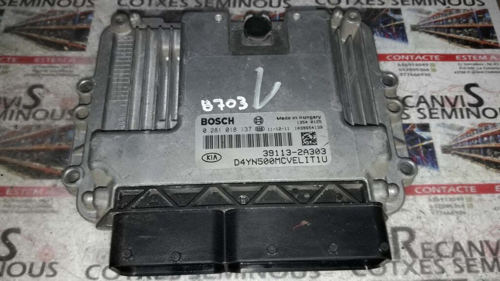 ECU Calculator Motor HYUNDAI HYUNDAI, 0281018137, 391132A303,