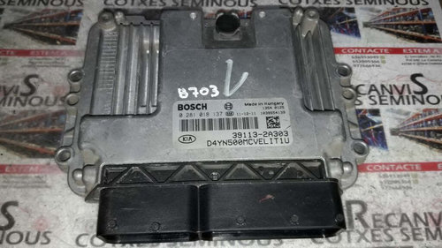 ECU Calculator Motor HYUNDAI HYUNDAI, 0281018137, 391132A303,