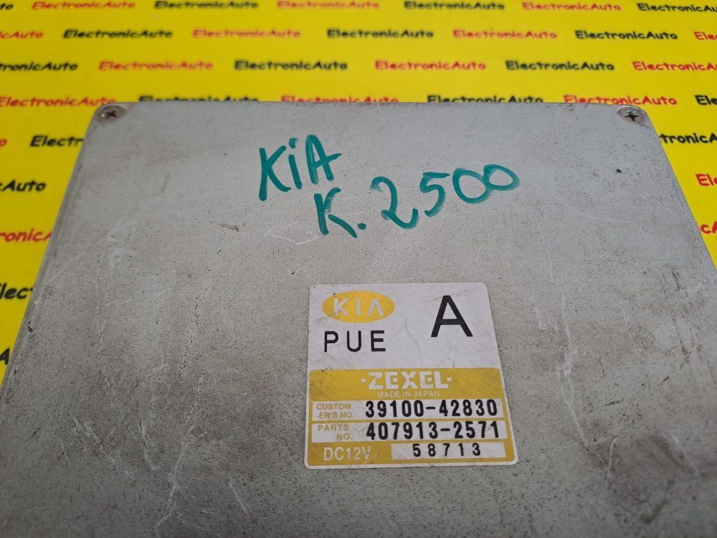 ECU Calculator motor KIA 3910042830, 4079132571