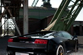 edo competition Gallardo LP600/4 - Taurul cu.. 600 CP