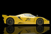 edo FXX Evoluzione