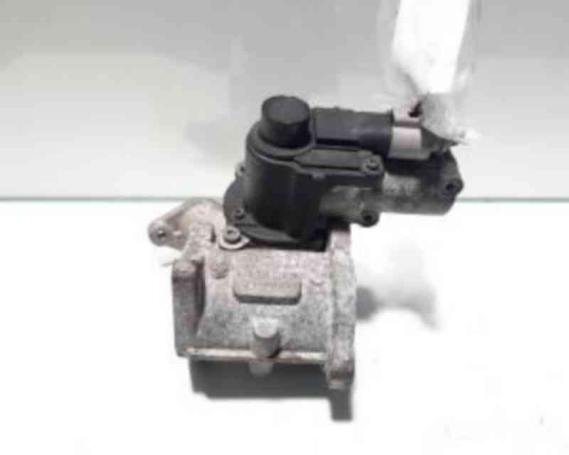 Egr 03G131501D, Seat Leon (1P1) 1.9 tdi, BLS