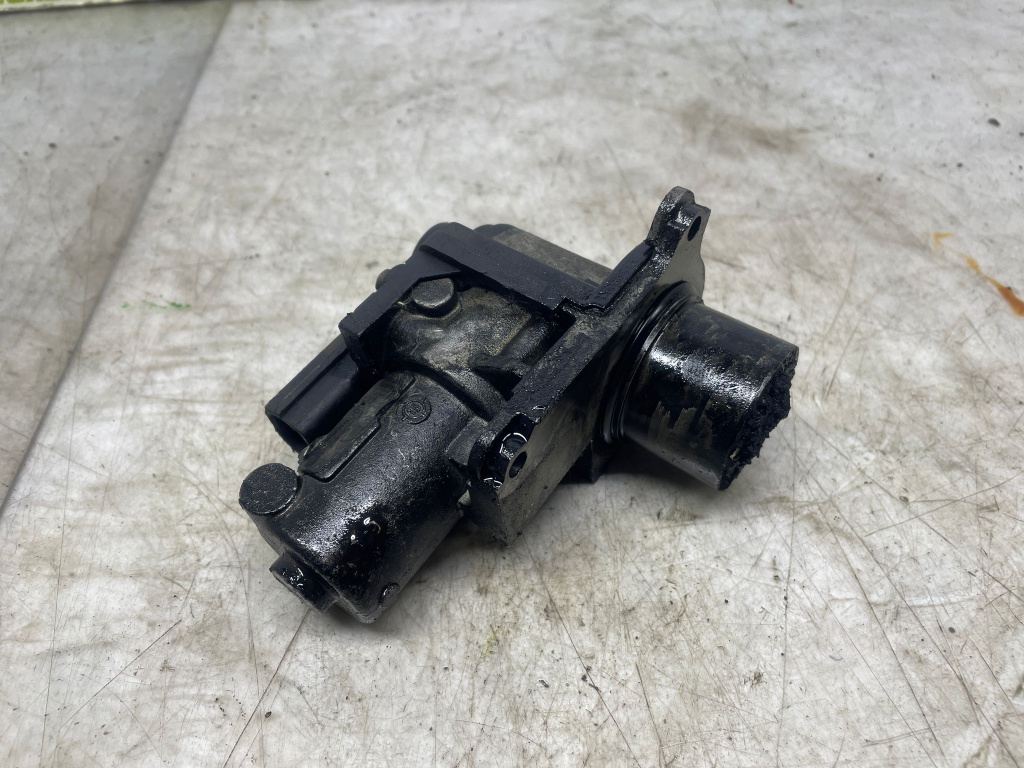 EGR 03G131502 2.0 tdi BMM Seat Leon 2 1P [2005 - 2009]