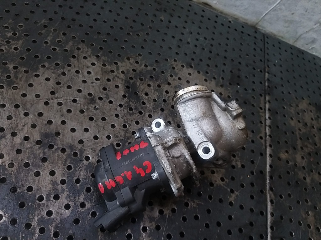 Egr 1.6 hdi citroen c4 9685640480 216046799