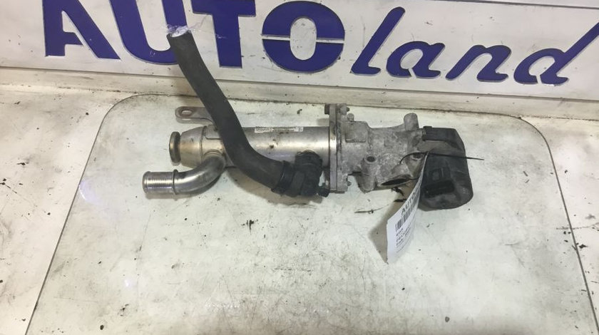 EGR 2.0 HDI Peugeot 407 6D 2004