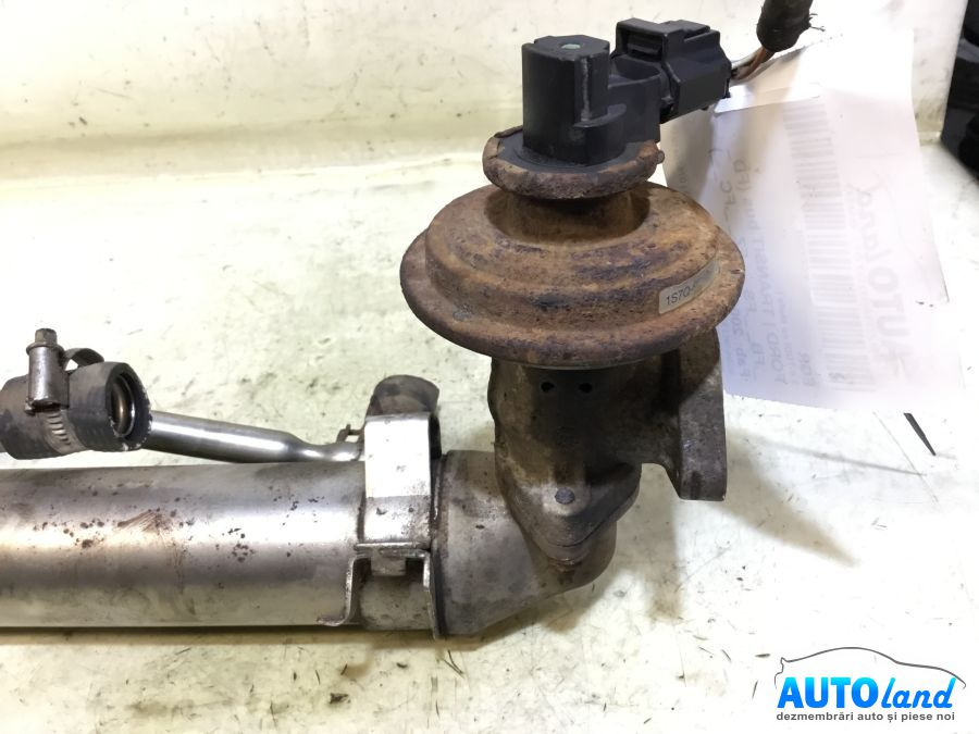 EGR 2.0 TDDI cu Mufa Ford TRANSIT bus FD ,FB ,FS ,FZ ,FC 2000-2006
