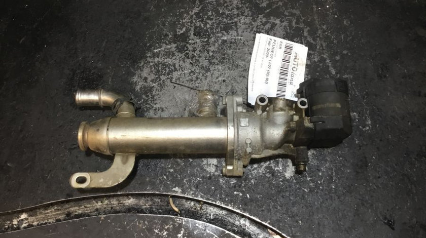 EGR 9645689780 Racitor 2.0 HDI Peugeot 607 9D,9U 2000