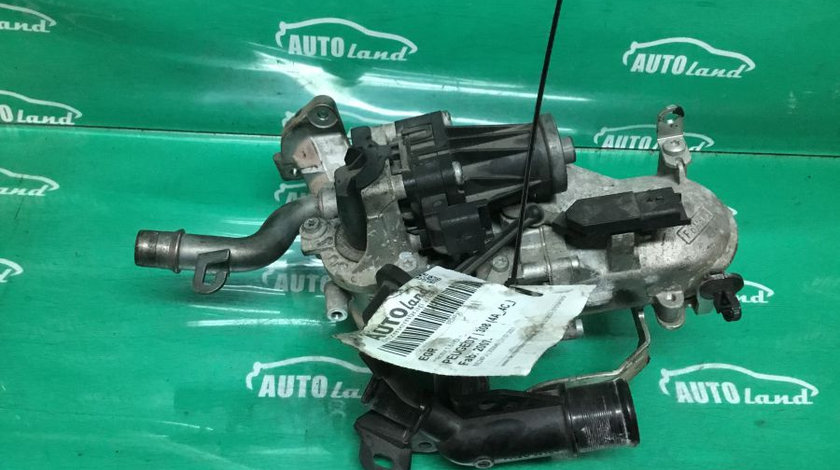 EGR 9802184080 +racitor 1.6 HDI Peugeot 308 4A ,4C 2007