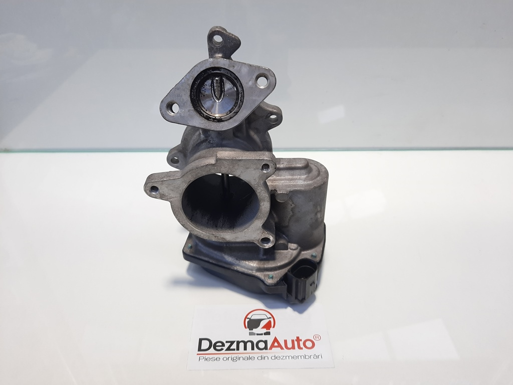 Egr, Audi A6 (4F2, C6) [Fabr 2004-2010] 2.0tdi, BLB (id:428705)