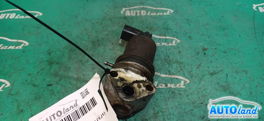 EGR Benzina Volkswagen GOLF IV 1J1 1997-2005