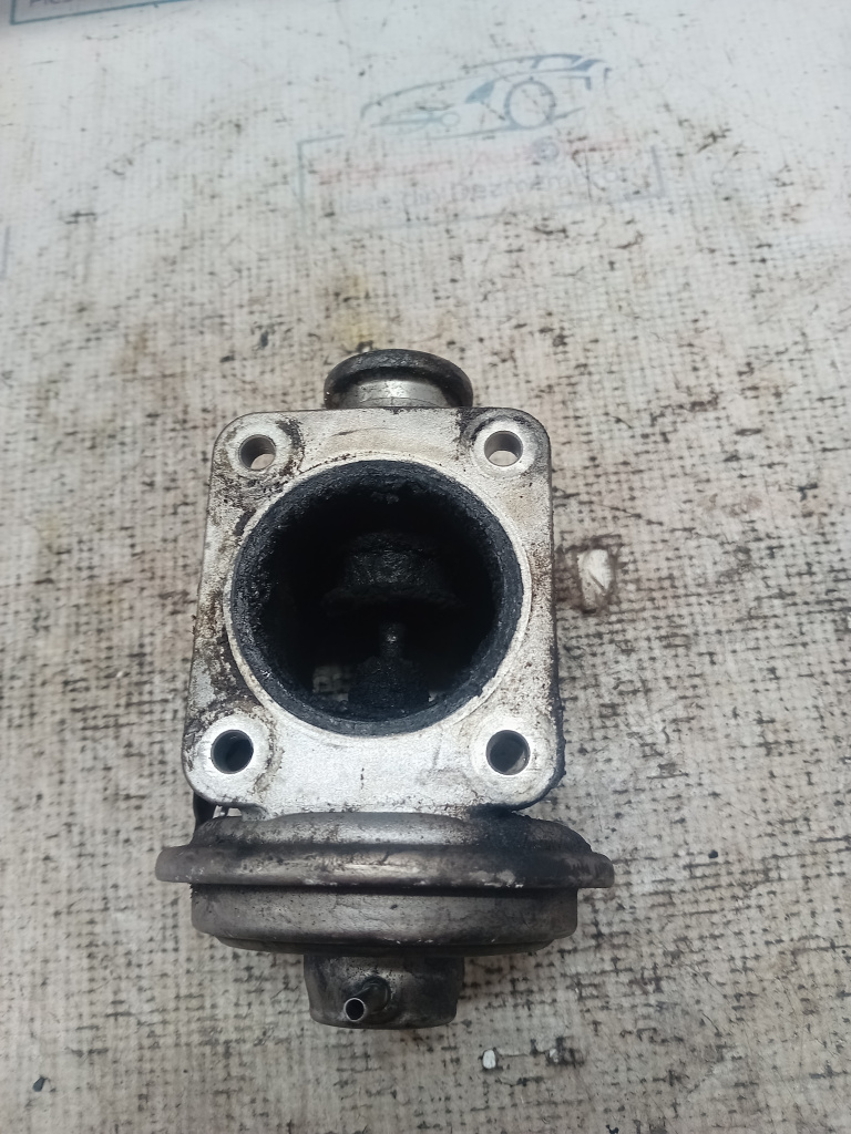 EGR BMW E60 3.0 Motorina