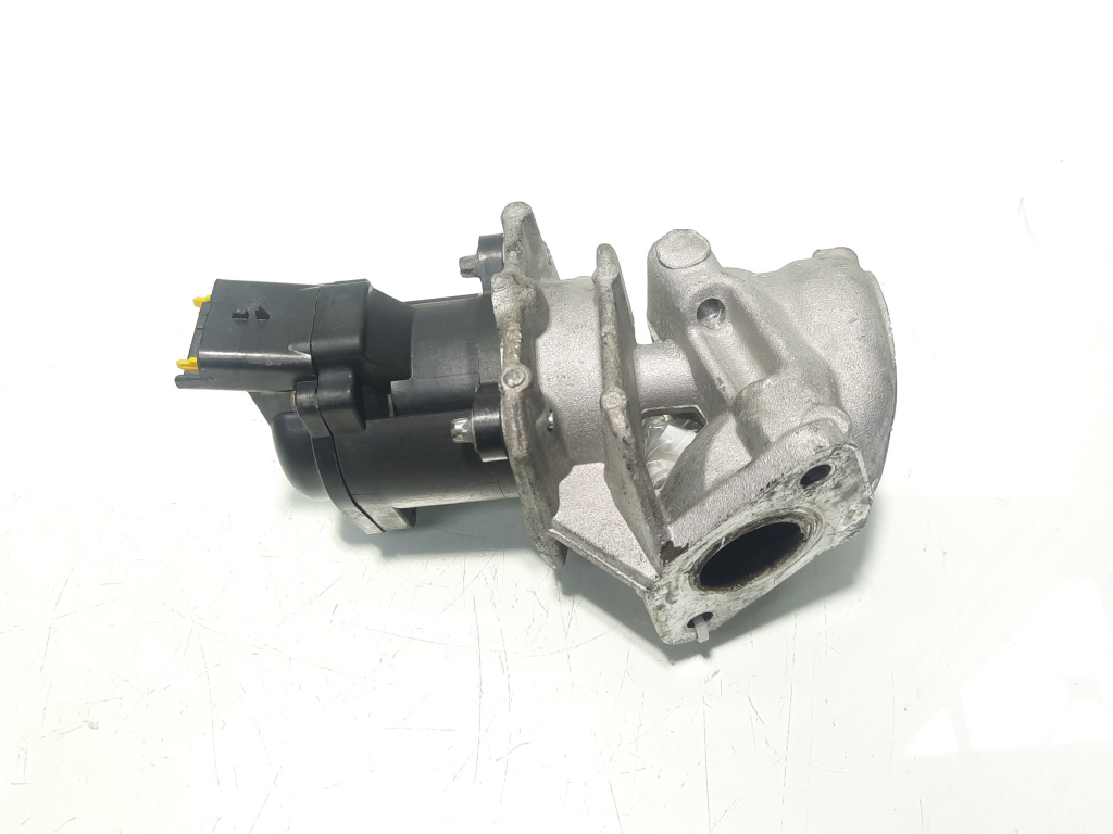EGR, Citroen C3 (I), 1.6 HDI, 9HX (idi:494495)