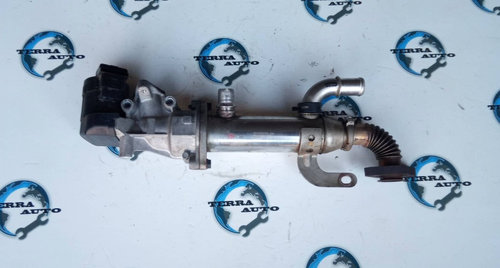 EGR Citroen Jumpy 2.0 HDI 88 KW 120 CP cod motor RHK
