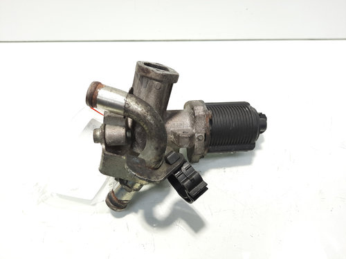 Egr, cod 55195196, Opel Astra H, 1.3 CDTI, Z13DTH (idi:596873)