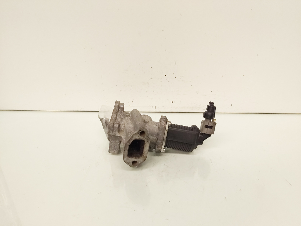 EGR, cod 55219499, Fiat Doblo (119), 1.3 M-jET, 188A8000 (id:666939)