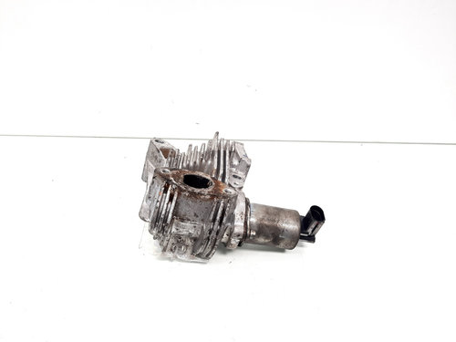 EGR, cod 70007504, Renault Megane 2, 1.9 DCI, F9Q812 (id:533933)