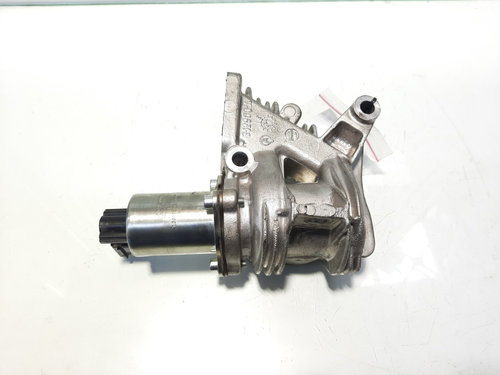 EGR, cod 700075070, Renault Megane 2, 1.9 DCI, F9Q808 (idi:468739)