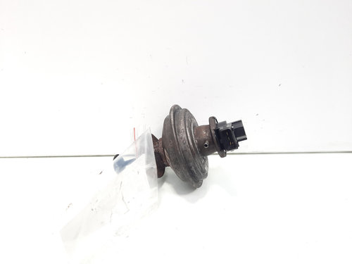 EGR, cod 7801942, Bmw 3 Touring (E91), 2.0 diesel, N47D20A (id:614016)