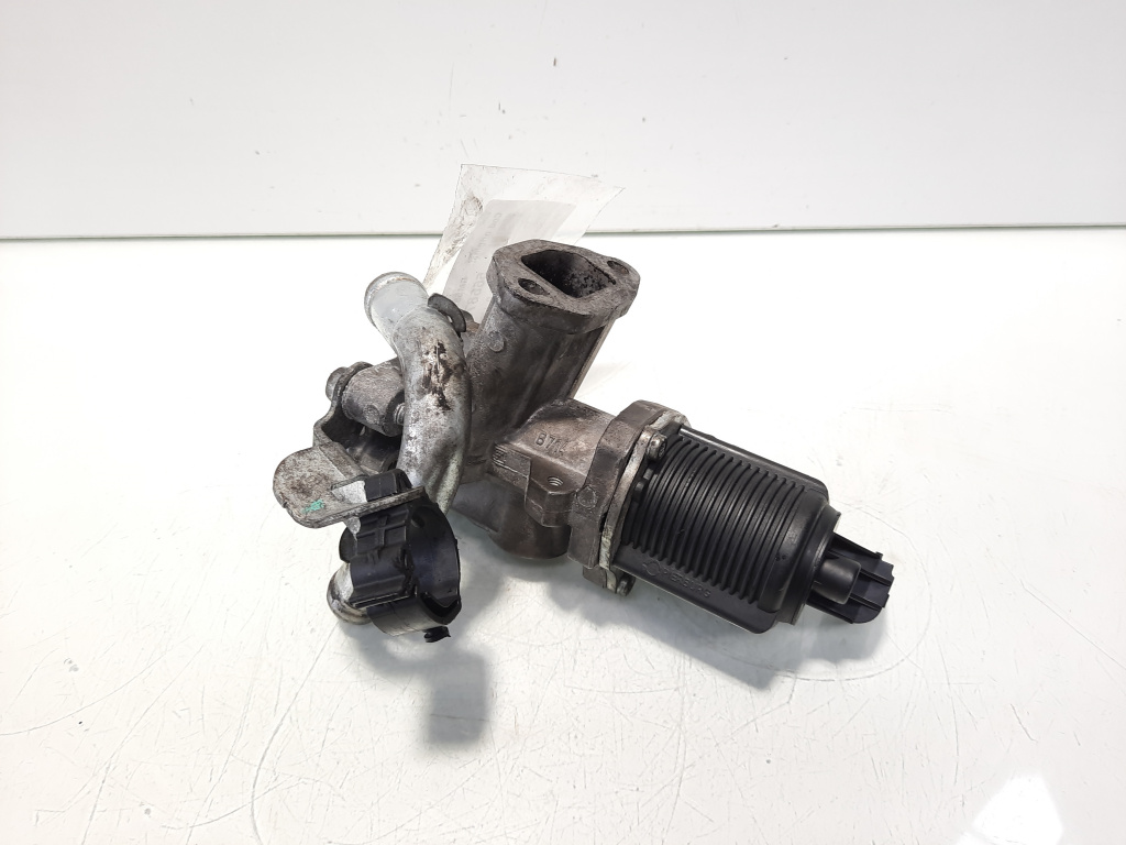 EGR, cod GM55219498, Opel Combo Tour, 1.3 CDTI, Z13DTJ (idi:566876)