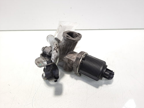 EGR, cod GM55219498, Opel Combo Tour, 1.3 CDTI, Z13DTJ (idi:566876)