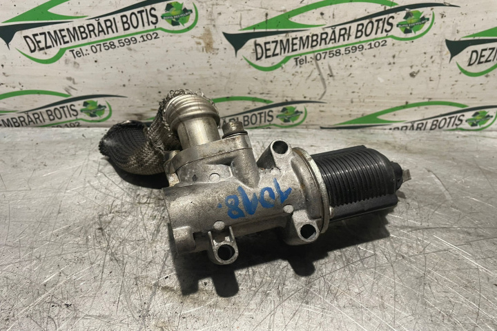 Egr EV006 EV006 Fiat Bravo 2 [2007 - 2011] Hatchback 1.9 16v Multijet 115 (120 hp) 5MT