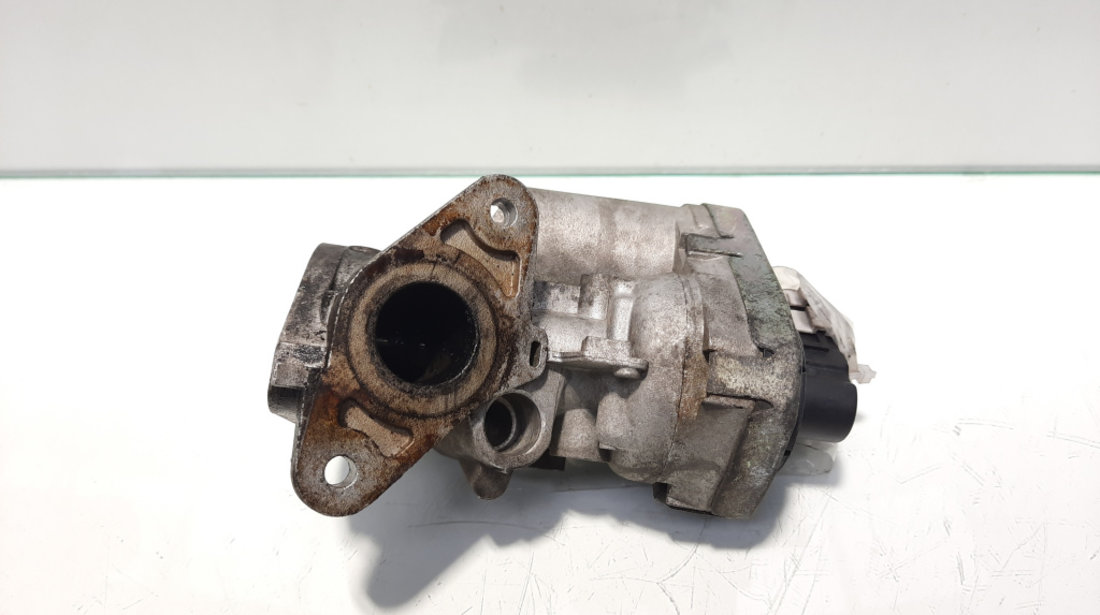 EGR, Ford Transit Connect (P65) 2.2 tdci (id:458292)