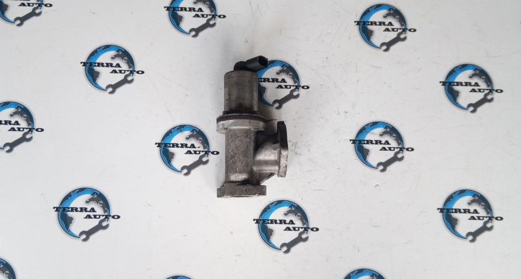 EGR Hyundai Santa Fe 2.0 CRDI 83 KW 113 CP cod motor D4EA