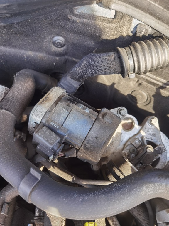 Egr Mercedes C220 cdi w204 an 2009