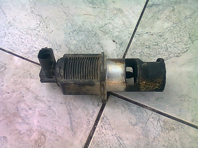 EGR Renault Clio
