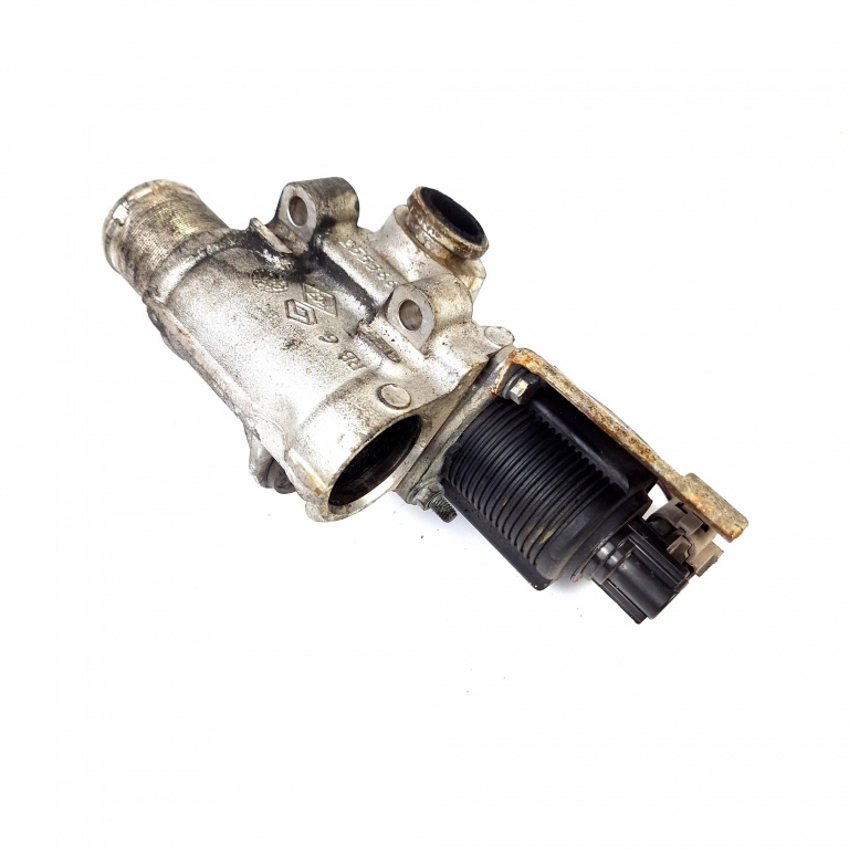 Egr Renault Kangoo (Kc) 1997-2007 255366