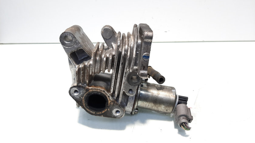 Egr, Renault Megane 2, 1.9 DCI, F9Q (id:558890)