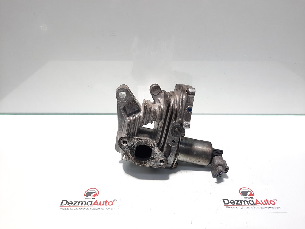 Egr, Renault Megane 2 [Fabr 2002-2008] 1.9 dci, F9Q, 70007504 (id:434034)