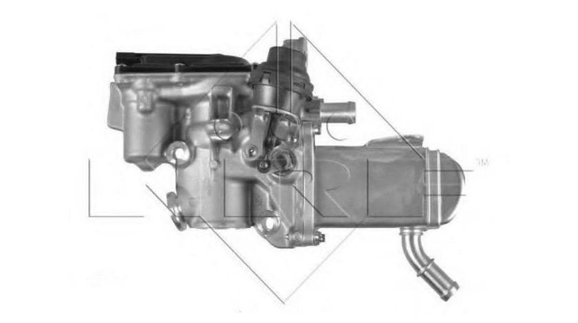 Egr Renault MEGANE CC (EZ0/1_) 2010-2016 #2 147106293R