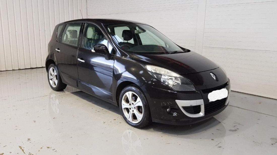 EGR Renault Scenic 3 2010 MONOVOLUM 2.0 dCI