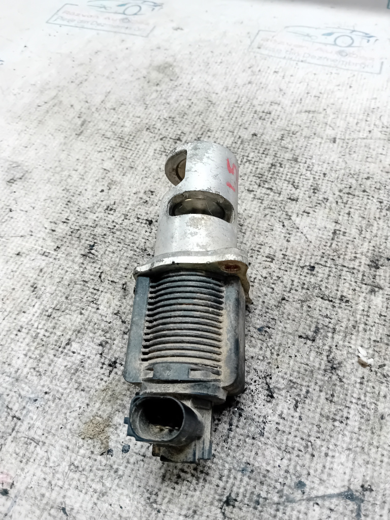 EGR Renault Scenic