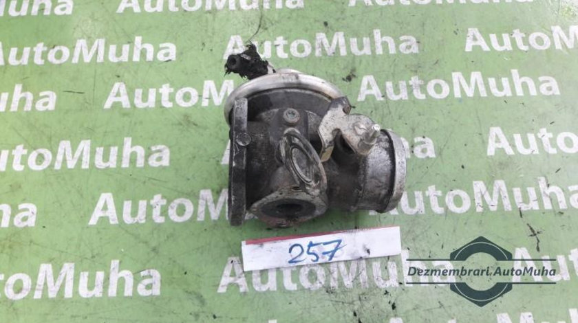 Egr Seat Leon (1999-2006) 038131501E