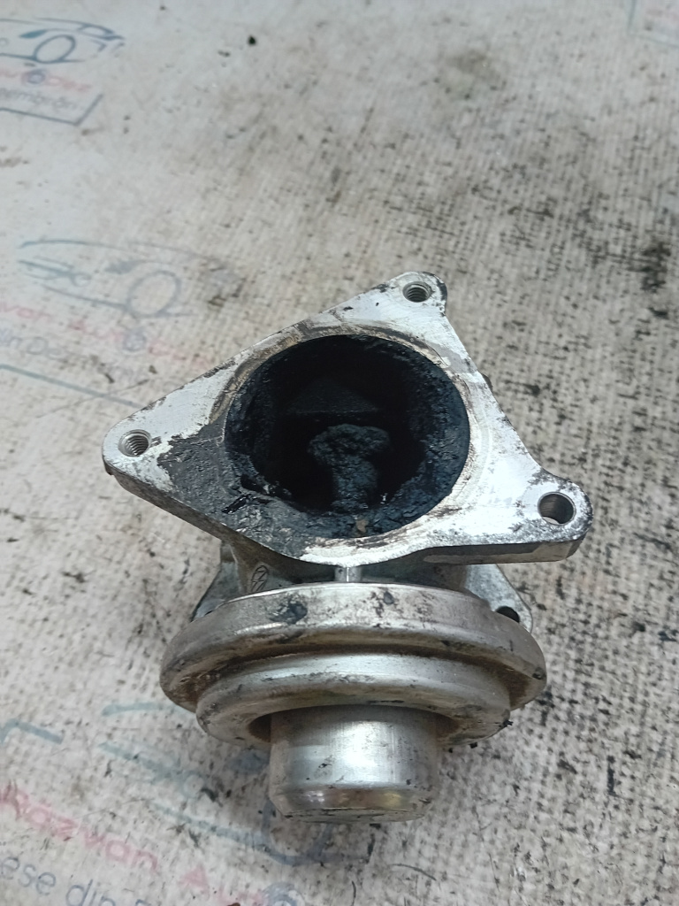 EGR Skoda Roomster 2010, 038129637D
